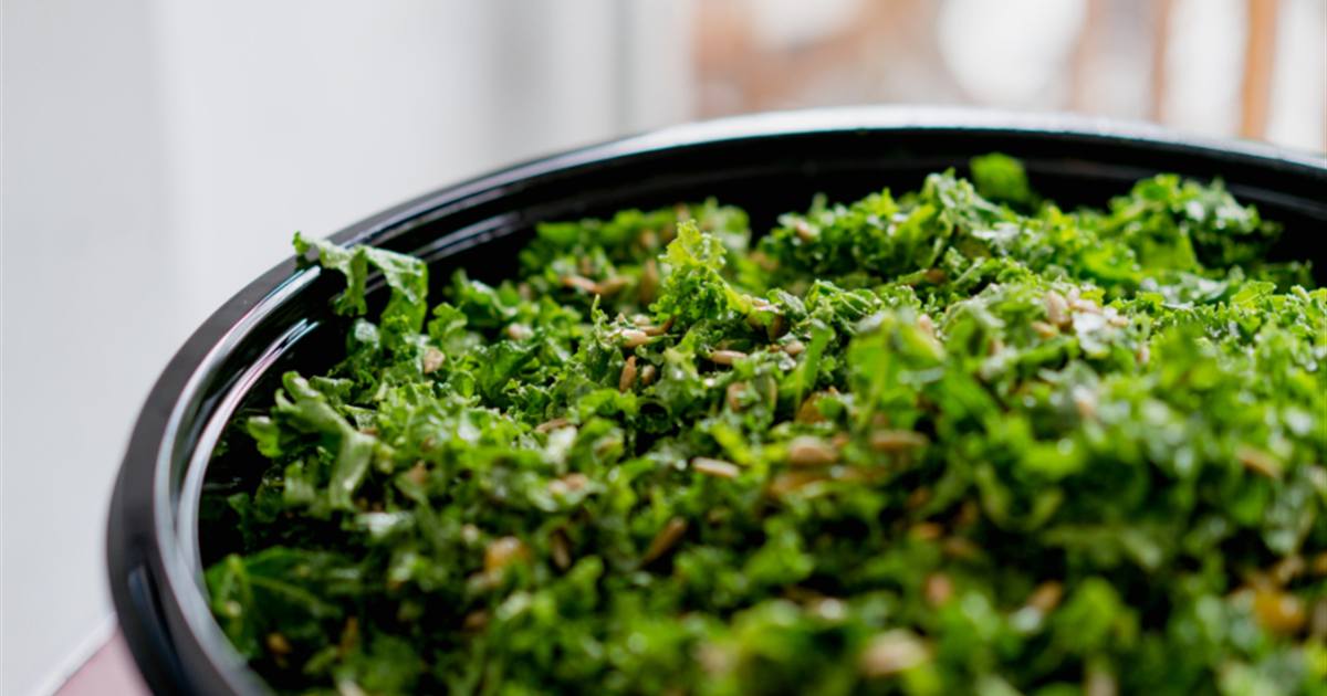 Dietas para emagrecer: mitos, verdades e escolhas saudáveis