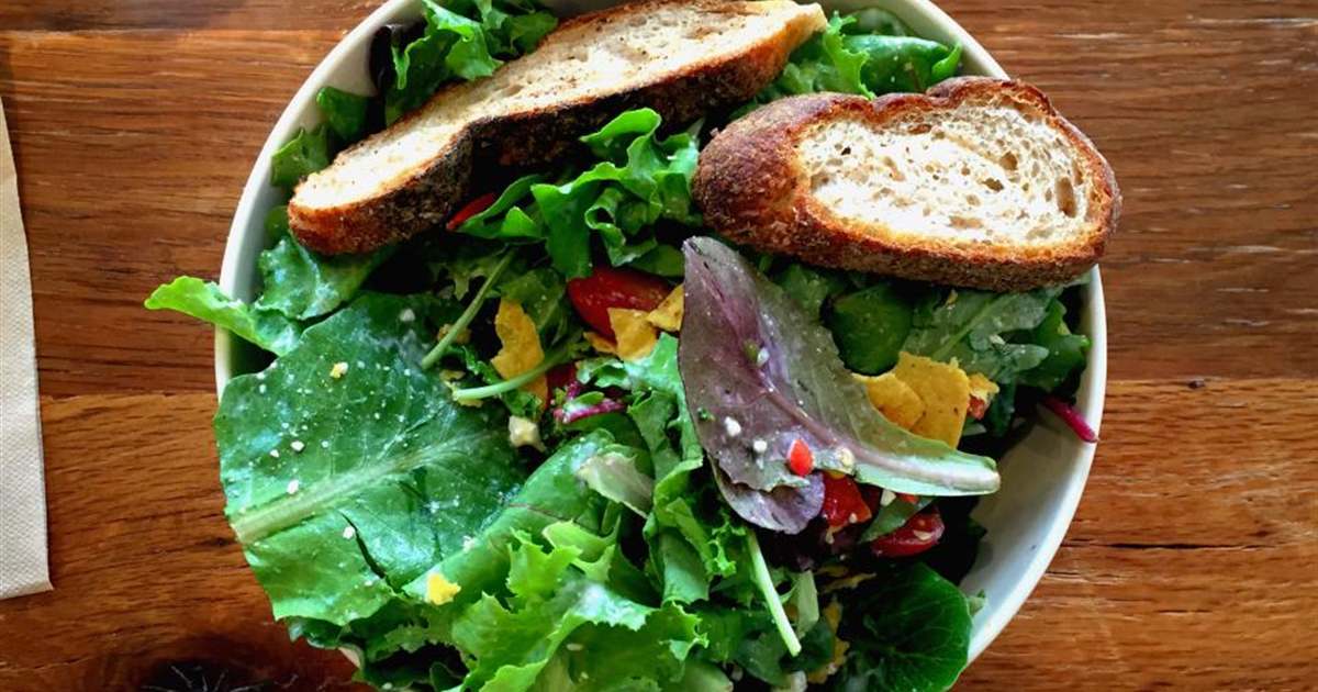 Lanches congelados saudáveis: aliados da reeducação alimentar